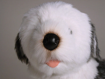 "Martha" Old English Sheepdog