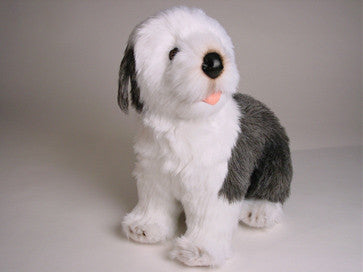 "Martha" Old English Sheepdog