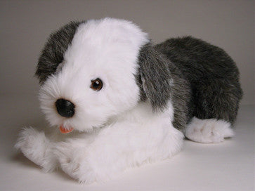 "Barkley" Old English Sheepdog
