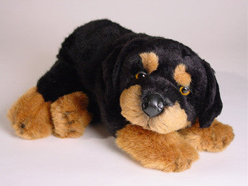 "Carmine" Rottweiler