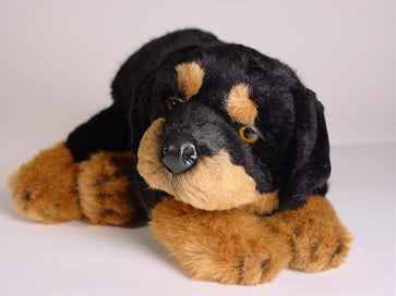 "Carmine" Rottweiler