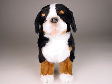 "Julia" Bernese Mountain Dog