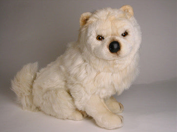 "Sammie" Chow Chow