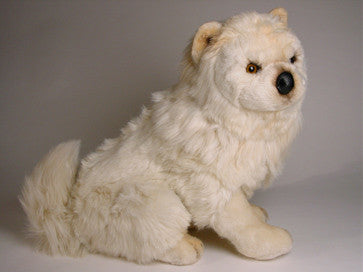 "Sammie" Chow Chow