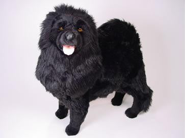 Chow top stuffed animal
