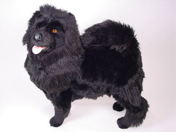 "Max" Chow Chow