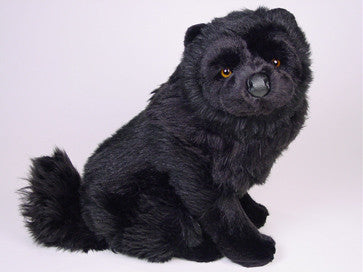 "Maxwell" Chow Chow
