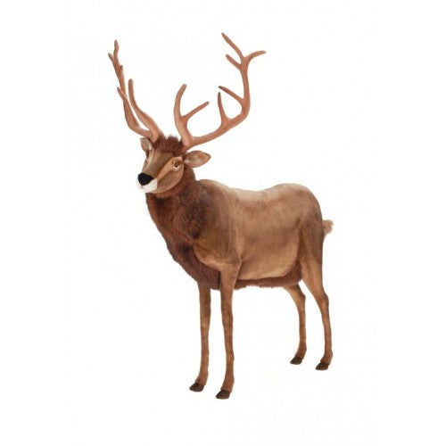 "Rafferty" Reindeer (right)