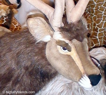 "Randi" Reindeer (left)