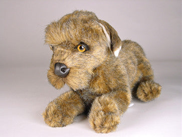 "Tramp" Schnauzer