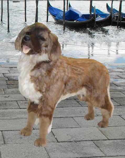 "Napoleon" Leonberger