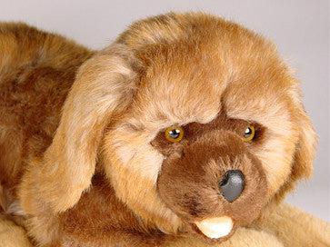 "Nutmeg" Leonberger