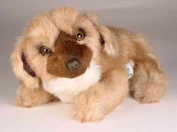 "Tweed" Leonberger