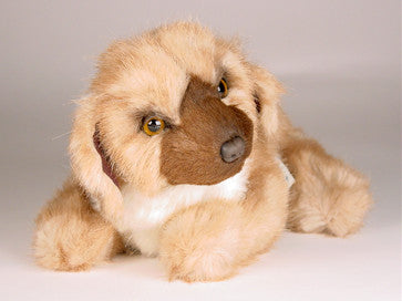 "Tweed" Leonberger