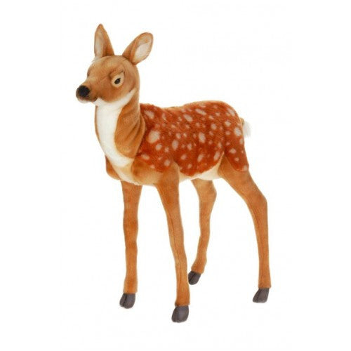 "Felicia" Fawn