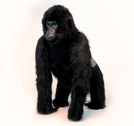 "Titus" Silver Back Gorilla