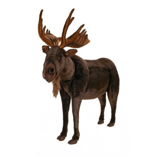 "Seuss" Moose