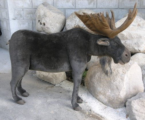"Seuss" Moose