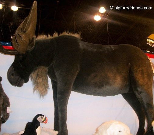 "Seuss" Moose