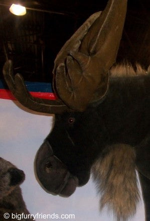 "Seuss" Moose