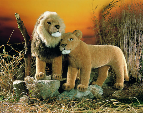 "Mara" Lion