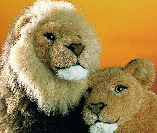 "Mara" Lion