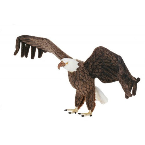 "Lincoln" Eagle
