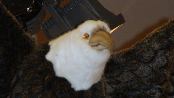 "Lincoln" Eagle
