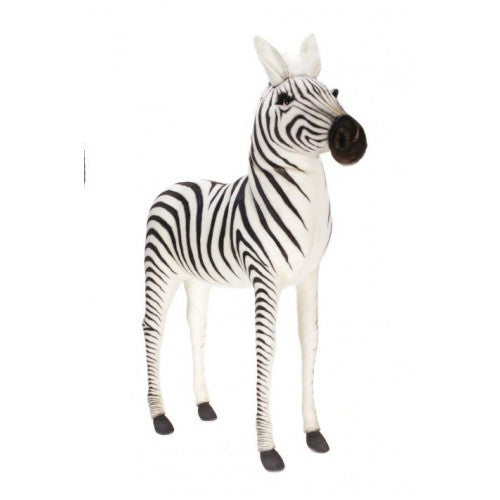 "Ref" Zebra