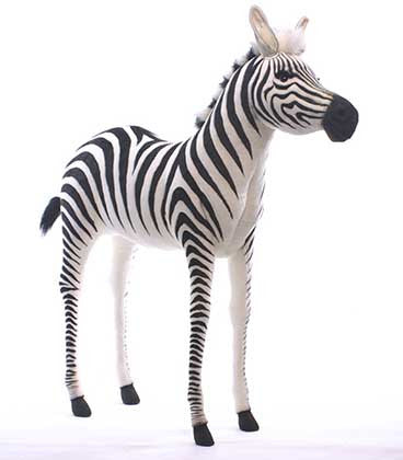 "Ref" Zebra