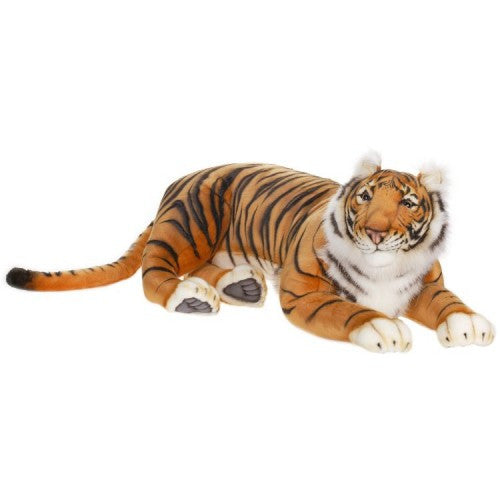 "Marcan" Bengal Tiger