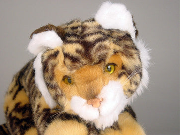 "Bangle" Bengal Tiger
