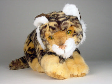 "Bangle" Bengal Tiger