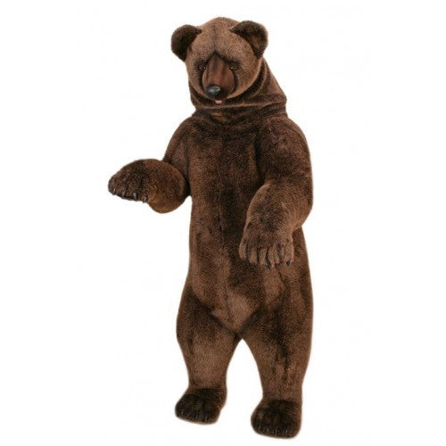 "Basil" Grizzly Bear