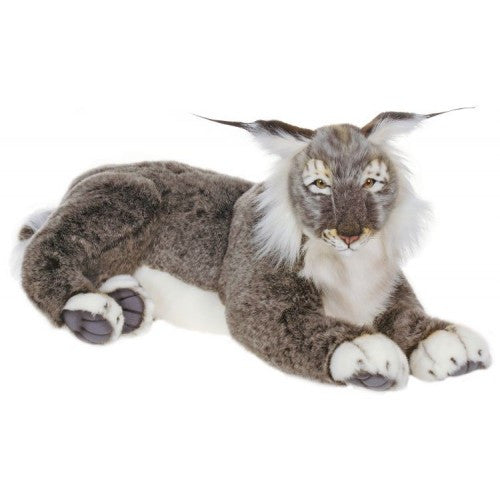 "Lexi" Lynx