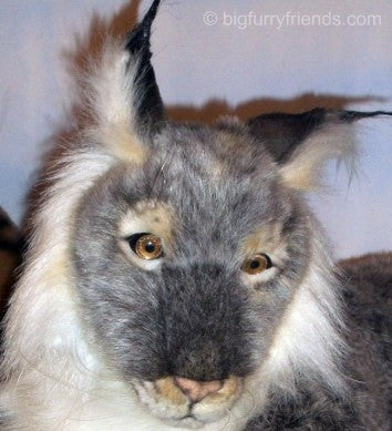 "Lexi" Lynx