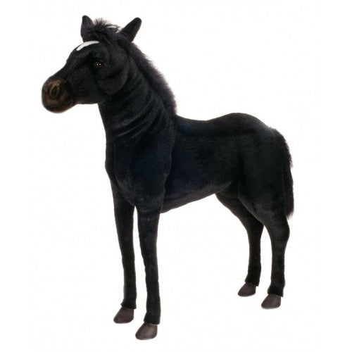 "Atlas" Black Horse