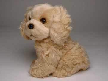 "Ginger" Cocker Spaniel