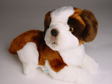 "Benedictine" Saint Bernard