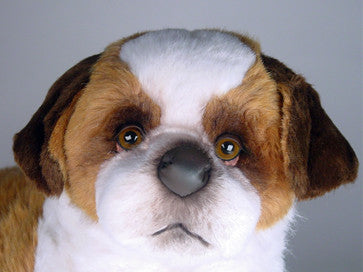 "Gumbo" Saint Bernard