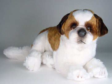 "Gumbo" Saint Bernard