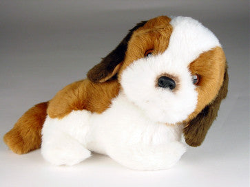 "Brandy" Saint Bernard