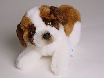 "Annabelle" Saint Bernard