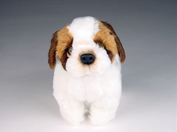 "Cujo" Saint Bernard