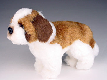 "Cujo" Saint Bernard