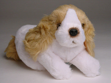 "Zeke" Cocker Spaniel