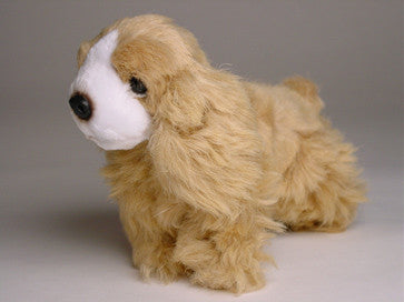"Flush" Cocker Spaniel