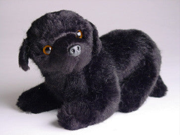 "Boo" Newfoundland