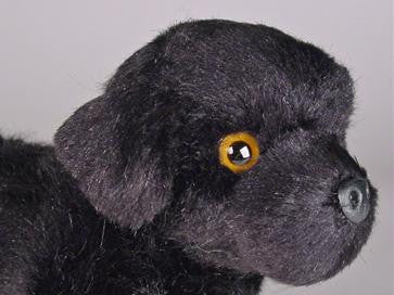 "Faithful" Newfoundland
