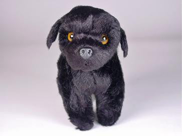 "Faithful" Newfoundland